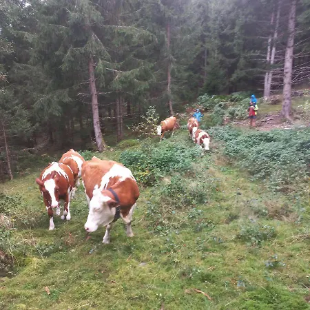 Leitenhof Fam.steger Appartamento