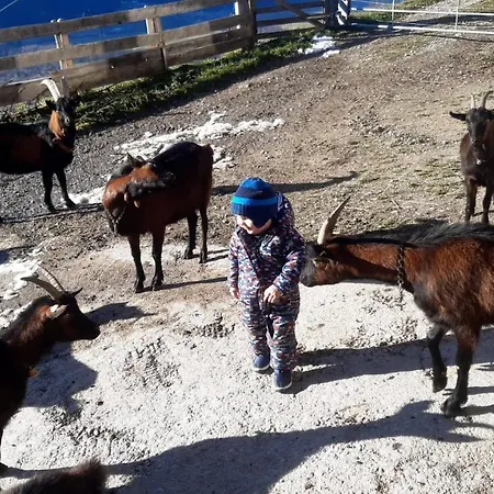 アパート Leitenhof Fam.steger *