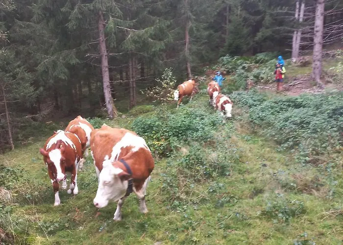 Leitenhof Fam.steger Apartment